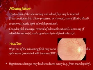 • Filtration failure: 
• Obstruction of the sclerostomy and scleral flap may be internal 
(incarceration of iris, ciliary processes, or vitreous), scleral (fibrin, blood), 
• or external (overly tight scleral flap sutures). 
• Consider bleb massage, removal of releasable suture(s), loosening of 
adjustable suture(s), and argon laser lysis of fixed suture(s). 
• Visual loss: 
• Wipe-out of the remaining field may occur in the presence of a vulnerable 
optic nerve (associated with increased IOP or hypotony) or 
• Hypotonous changes may lead to reduced acuity (e.g., from maculopathy). 
 