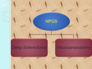 NPGS 
Deep Sclerectomy Viscocanalostomy 
 