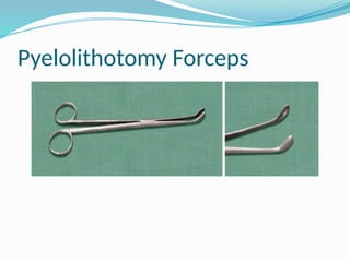 Pyelolithotomy Forceps
 