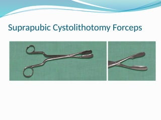 Suprapubic Cystolithotomy Forceps
 