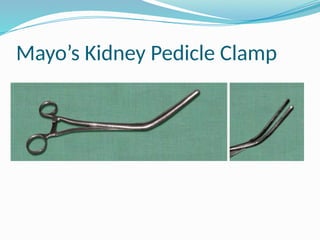 Mayo’s Kidney Pedicle Clamp
 
