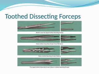 Toothed Dissecting Forceps
 