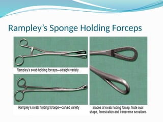 Rampley’s Sponge Holding Forceps
 