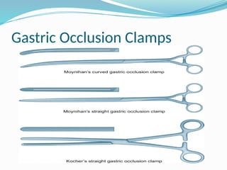 Gastric Occlusion Clamps
 