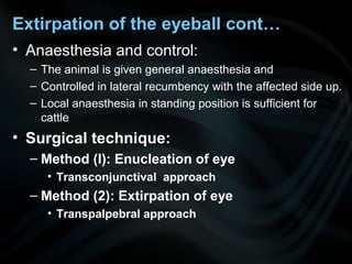 • Anaesthesia and control:
– The animal is given general anaesthesia and
– Controlled in lateral recumbency with the affected side up.
– Local anaesthesia in standing position is sufficient for
cattle
• Surgical technique:
– Method (I): Enucleation of eye
• Transconjunctival approach
– Method (2): Extirpation of eye
• Transpalpebral approach
Extirpation of the eyeball cont…
 