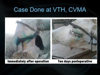 Case Done at VTH, CVMA
 