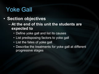 • Section objectives
– At the end of this unit the students are
expected to
• Define yoke gall and list its causes
• List predisposing factors to yoke gall
• List the fates of yoke gall
• Describe the treatments for yoke gall at different
progressive stages
Yoke Gall
 