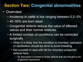Section Two: Congenital abnormalities
• Overview:
– Incidence in cattle is low ranging between 0.2–3%
– 40–50% are born dead.
– Congenital defects reduce the value of affected
calves and their normal relatives.
– A limited number of conditions can be corrected
surgically
• When it is likely that the condition is inherited, castration
or sterilization should be done to avoid breeding
• Not possible to deal with all the recorded congenital
defects here
– So discussion is limited to those defects that are thought to be
of general importance
 