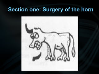 Section one: Surgery of the horn
 
