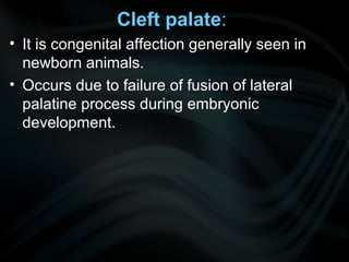 Cleft palate:
• It is congenital affection generally seen in
newborn animals.
• Occurs due to failure of fusion of lateral
palatine process during embryonic
development.
 