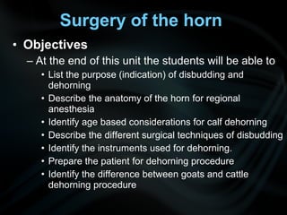 • Objectives
– At the end of this unit the students will be able to
• List the purpose (indication) of disbudding and
dehorning
• Describe the anatomy of the horn for regional
anesthesia
• Identify age based considerations for calf dehorning
• Describe the different surgical techniques of disbudding
• Identify the instruments used for dehorning.
• Prepare the patient for dehorning procedure
• Identify the difference between goats and cattle
dehorning procedure
Surgery of the horn
 