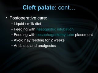 • Postoperative care:
– Liquid / milk diet
– Feeding with nasogastric intubation
– Feeding with oesophagostomy tube placement
– Avoid hay feeding for 2 weeks
– Antibiotic and analgesics
Cleft palate: cont…
 