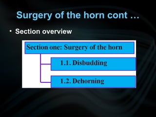 • Section overview
Surgery of the horn cont …
 