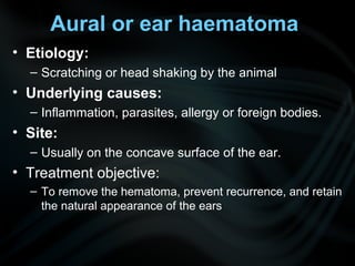 Aural or ear haematoma
• Etiology:
– Scratching or head shaking by the animal
• Underlying causes:
– Inflammation, parasites, allergy or foreign bodies.
• Site:
– Usually on the concave surface of the ear.
• Treatment objective:
– To remove the hematoma, prevent recurrence, and retain
the natural appearance of the ears
 