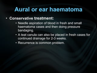 • Conservative treatment:
• Needle aspiration of blood in fresh and small
haematoma cases and then doing pressure
bandaging.
• A teat canula can also be placed in fresh cases for
continued drainage for 2-3 weeks.
• Recurrence is common problem.
Aural or ear haematoma
 