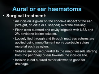 Aural or ear haematoma
• Surgical treatment:
• An incision is given on the concave aspect of the ear
(straight, cruciate or S shaped) over the swelling.
• Fibrin clots curetted and cavity irrigated with NSS and
2% povidone iodine solution.
• Loosely tied through and through mattress sutures are
applied using monofilament non-absorbable suture
material such as nylon.
• Sutures are applied parallel to the major vessels starting
from the periphery of ear towards the incision line.
• Incision is not sutured rather allowed to gape for
drainage.
 