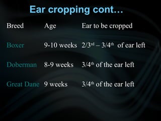 Ear cropping cont…
Breed Age Ear to be cropped
Boxer 9-10 weeks 2/3rd
– 3/4th
of ear left
Doberman 8-9 weeks 3/4th
of the ear left
Great Dane 9 weeks 3/4th
of the ear left
 