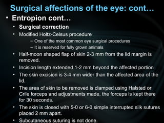Surgical affections of the eye: cont…
• Entropion cont…
• Surgical correction
• Modified Holtz-Celsus procedure
– One of the most common eye surgical procedures
– It is reserved for fully grown animals
• Half-moon shaped flap of skin 2-3 mm from the lid margin is
removed.
• Incision length extended 1-2 mm beyond the affected portion
• The skin excision is 3-4 mm wider than the affected area of the
lid.
• The area of skin to be removed is clamped using Halsted or
Crile forceps and adjustments made, the forceps is kept there
for 30 seconds.
• The skin is closed with 5-0 or 6-0 simple interrupted silk sutures
placed 2 mm apart.
• Subcutaneous suturing is not done.
 