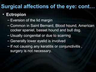 Surgical affections of the eye: cont…
• Ectropion
– Eversion of the lid margin
– Common in Saint Bernard, Blood hound, American
cocker spaniel, basset hound and bull dog.
– Usually congenital or due to scarring
– Generally lower eyelid is involved
– If not causing any keratitis or conjunctivitis ,
surgery is not necessary.
 