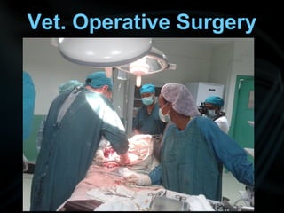 Vet. Operative Surgery
 