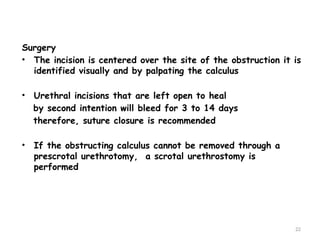 Surgery of Urogenital tract.pptxhhjghhhhhg | PPTX