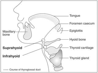 Pps Surgery SURGERY PPT-neck-swellings with few topicsppsx | PPSX
