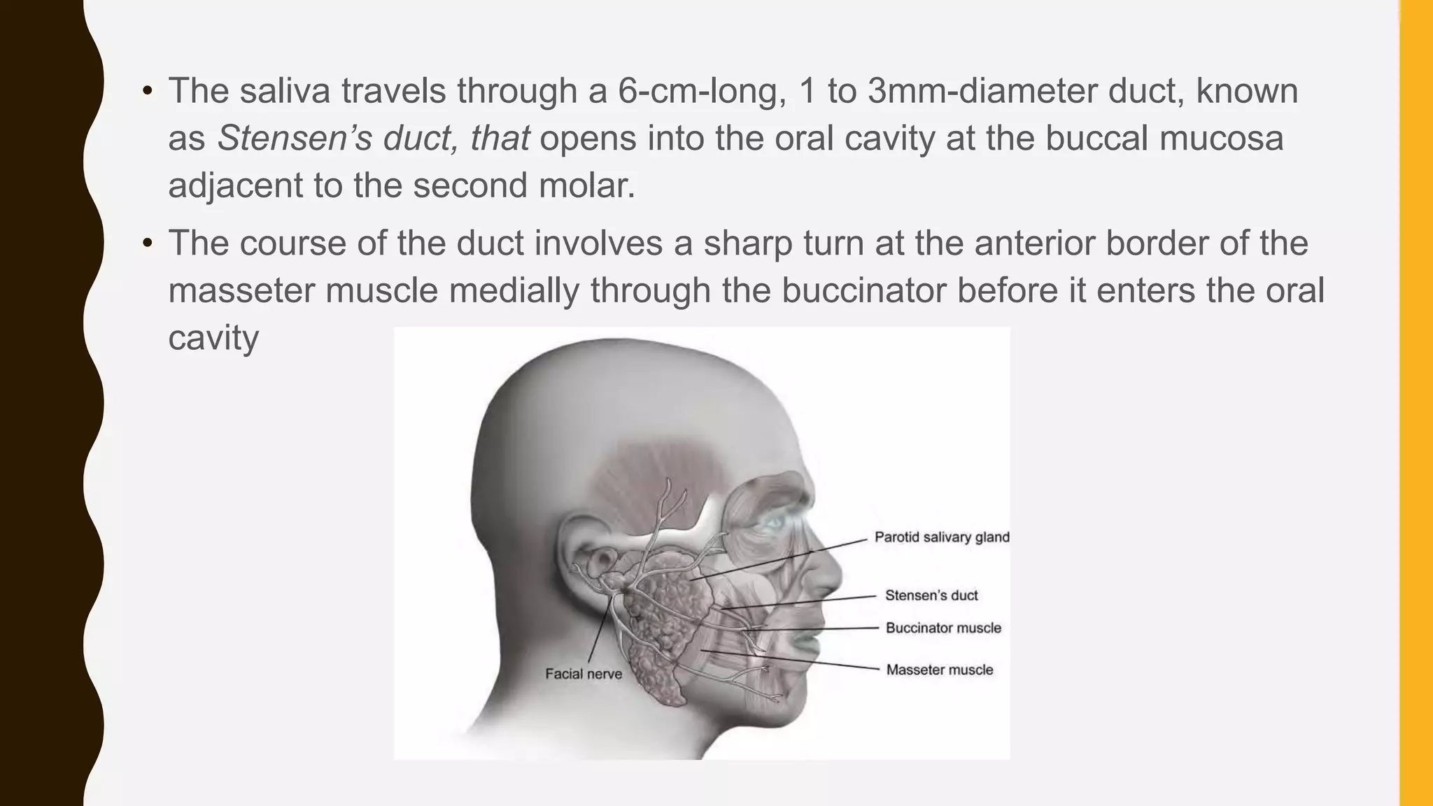 Parotid gland swelling | PPTX