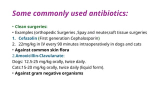 Use of antibiotics in surgical procedures | PPTX