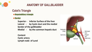 Callot Triangle Border SURGERY PRESENTATION Choledocholithiasis | PPTX
