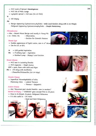 Surgery RR.pdf