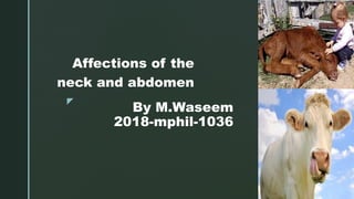 z
By M.Waseem
2018-mphil-1036
Affections of the
neck and abdomen
 