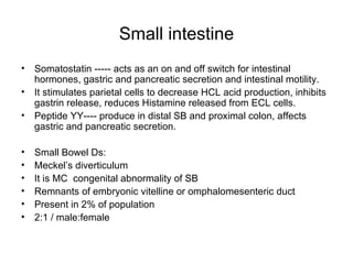 Small intestine Somatostatin ----- acts as an on and off switch for intestinal hormones, gastric and pancreatic secretion and intestinal motility. It stimulates parietal cells to decrease HCL acid production, inhibits gastrin release, reduces Histamine released from ECL cells. Peptide YY---- produce in distal SB and proximal colon, affects gastric and pancreatic secretion. Small Bowel Ds: Meckel’s diverticulum It is MC  congenital abnormality of SB Remnants of embryonic vitelline or omphalomesenteric duct Present in 2% of population 2:1 / male:female 