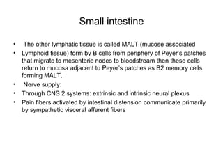 Small intestine The other lymphatic tissue is called MALT (mucose associated  Lymphoid tissue) form by B cells from periphery of Peyer’s patches that migrate to mesenteric nodes to bloodstream then these cells return to mucosa adjacent to Peyer’s patches as B2 memory cells forming MALT. Nerve supply: Through CNS 2 systems: extrinsic and intrinsic neural plexus Pain fibers activated by intestinal distension communicate primarily by sympathetic visceral afferent fibers 