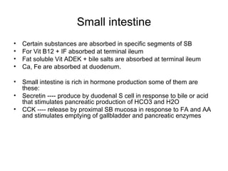 Small intestine Certain substances are absorbed in specific segments of SB For Vit B12 + IF absorbed at terminal ileum Fat soluble Vit ADEK + bile salts are absorbed at terminal ileum Ca, Fe are absorbed at duodenum. Small intestine is rich in hormone production some of them are these: Secretin ---- produce by duodenal S cell in response to bile or acid that stimulates pancreatic production of HCO3 and H2O CCK ---- release by proximal SB mucosa in response to FA and AA and stimulates emptying of gallbladder and pancreatic enzymes 