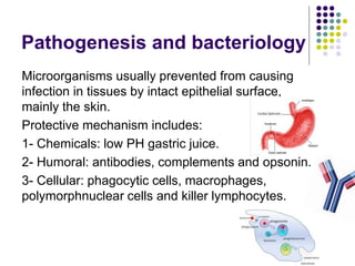 Pathogenesis and bacteriology
Microorganisms usually prevented from causing
infection in tissues by intact epithelial surf...