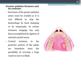 Surgical anatomy of periodontal structures, | PPTX