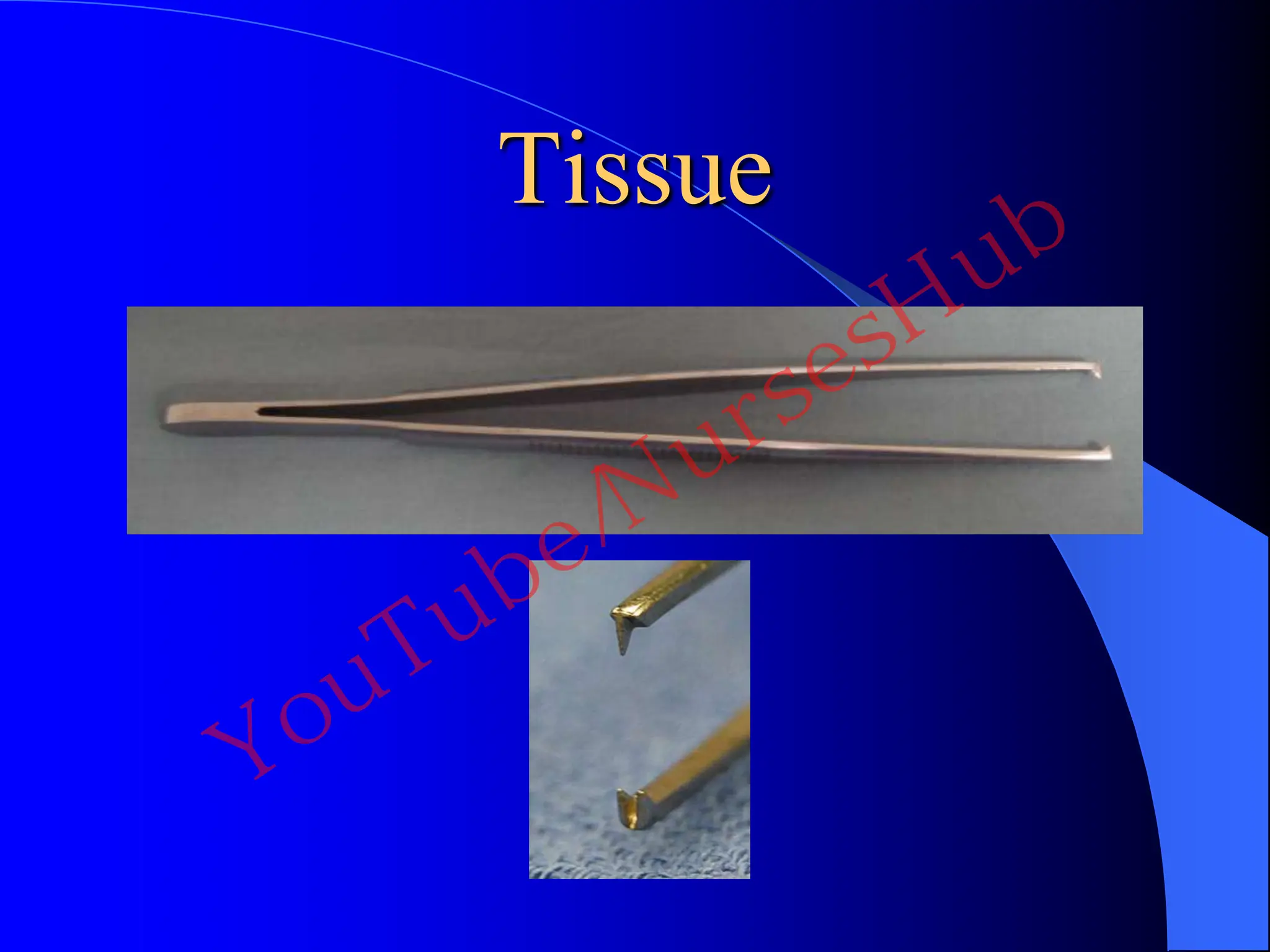 Tissue
YouTube/NursesHub
 