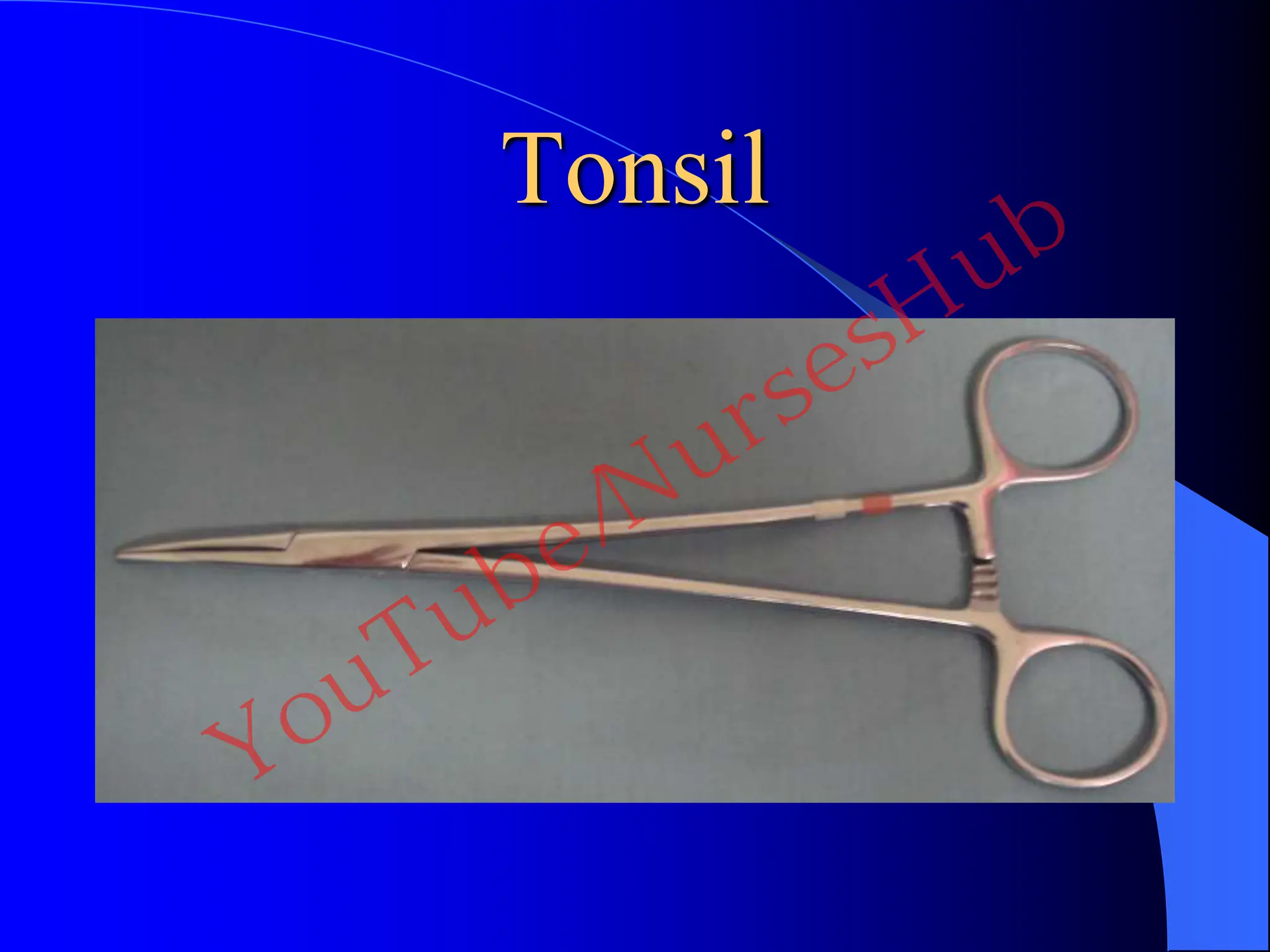 Tonsil
YouTube/NursesHub
 