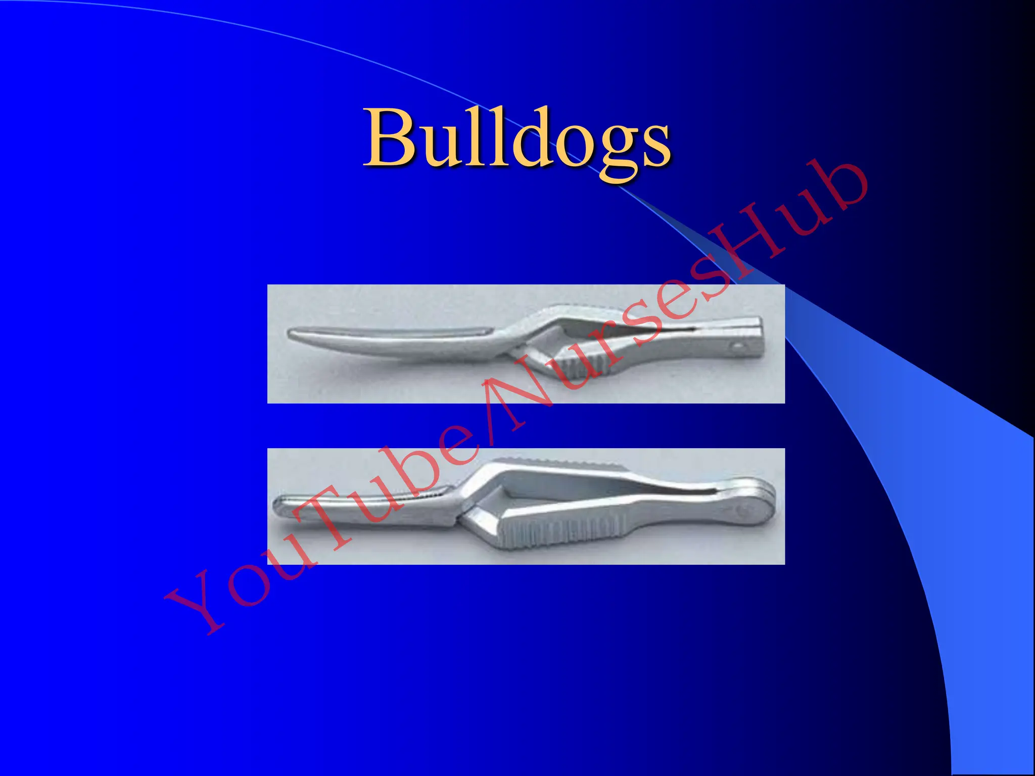 Bulldogs
YouTube/NursesHub
 