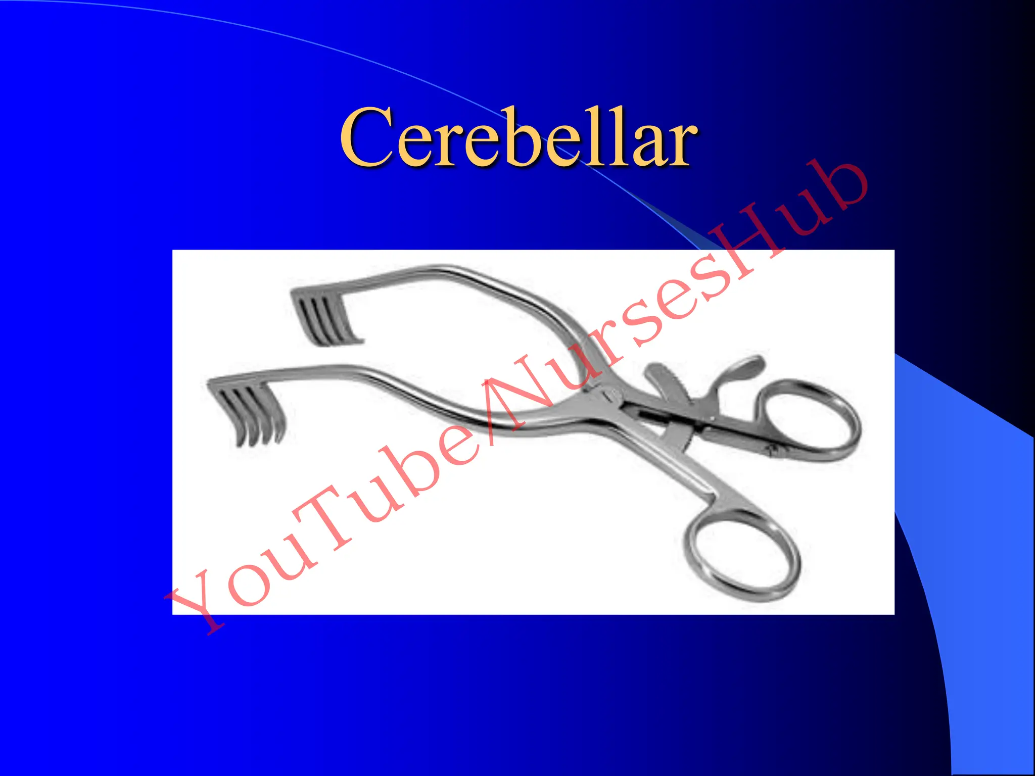Cerebellar
YouTube/NursesHub
 