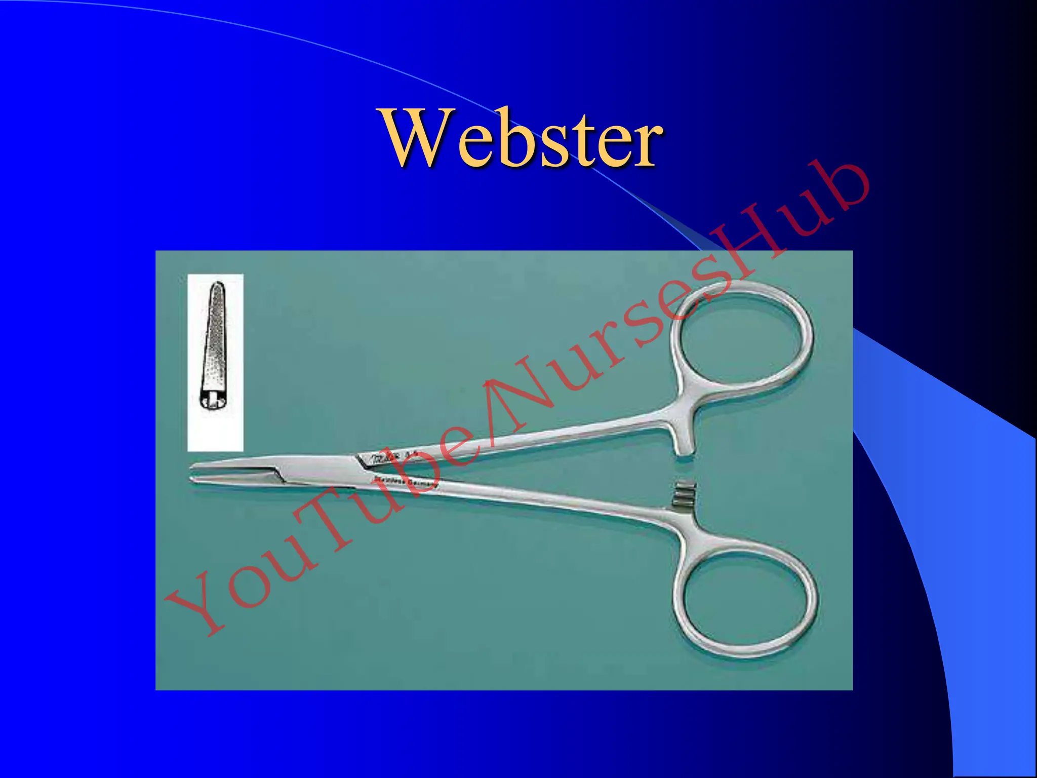 Webster
YouTube/NursesHub
 