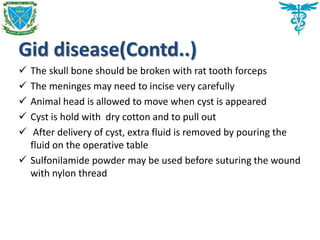 Gid disease(Contd..)
 The skull bone should be broken with rat tooth forceps
 The meninges may need to incise very carefully
 Animal head is allowed to move when cyst is appeared
 Cyst is hold with dry cotton and to pull out
 After delivery of cyst, extra fluid is removed by pouring the
fluid on the operative table
 Sulfonilamide powder may be used before suturing the wound
with nylon thread
 