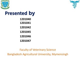 Presented by
1201040
1201041
1201042
1201045
1201046
1201047
Faculty of Veterinary Science
Bangladesh Agricultural University, Mymensingh
 