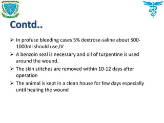 Contd..
 In profuse bleeding cases 5% dextrose-saline about 500-
1000ml should use,IV
 A benzoin seal is necessary and oil of turpentine is used
around the wound.
 The skin stitches are removed within 10-12 days after
operation
 The animal is kept in a clean house for few days especially
until healing the wound
 