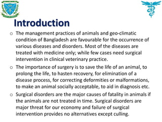 Introduction
o The management practices of animals and geo-climatic
condition of Bangladesh are favourable for the occurrence of
various diseases and disorders. Most of the diseases are
treated with medicine only; while few cases need surgical
intervention in clinical veterinary practice.
o The importance of surgery is to save the life of an animal, to
prolong the life, to hasten recovery, for elimination of a
disease process, for correcting deformities or malformations,
to make an animal socially acceptable, to aid in diagnosis etc.
o Surgical disorders are the major causes of fatality in animals if
the animals are not treated in time. Surgical disorders are
major threat for our economy and failure of surgical
intervention provides no alternatives except culling.
 