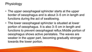 Physiology
• The upper oesophageal sphincter starts at the upper
border of oesophagus and is about 3–5 cm in length and
functions during the act of swallowing.
• The lower oesophageal sphincter is situated at lower
portion of oesophagus. It is also 3–5 cm in length and
functions to prevent oesophageal reflux.Middle portion of
oesophagus shows active peristalsis. The waves are
weaker in the upper part, becoming gradually stronger
towards the lower portion.
 