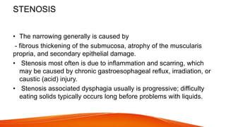 STENOSIS
• The narrowing generally is caused by
- fibrous thickening of the submucosa, atrophy of the muscularis
propria, and secondary epithelial damage.
• Stenosis most often is due to inflammation and scarring, which
may be caused by chronic gastroesophageal reflux, irradiation, or
caustic (acid) injury.
• Stenosis associated dysphagia usually is progressive; difficulty
eating solids typically occurs long before problems with liquids.
 