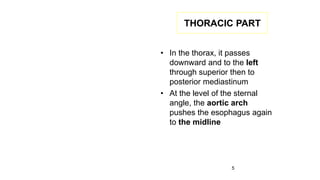 5
THORACIC PART
• In the thorax, it passes
downward and to the left
through superior then to
posterior mediastinum
• At the level of the sternal
angle, the aortic arch
pushes the esophagus again
to the midline.
 