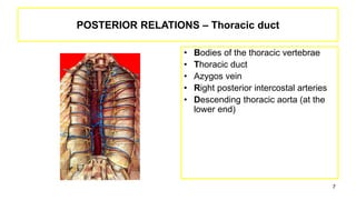 POSTERIOR RELATIONS – Thoracic duct
• Bodies of the thoracic vertebrae
• Thoracic duct
• Azygos vein
• Right posterior intercostal arteries
• Descending thoracic aorta (at the
lower end)
7
 