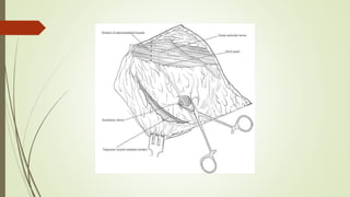 Surgical anatomy and oncological discussion of the neck | PPTX